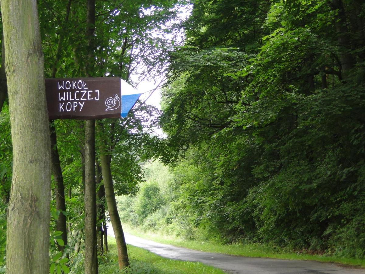 Romanowka Oldrzychowice Klodzkie Esterno foto